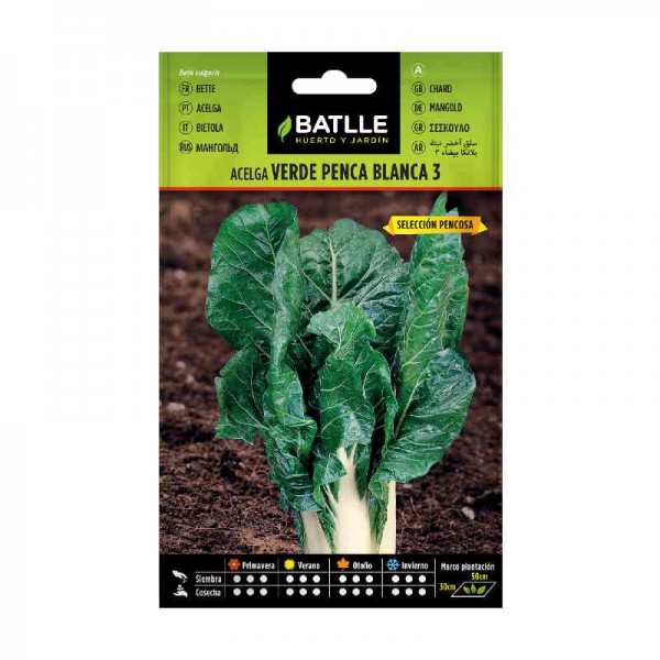 sembrar-semilla-acelga-verde-penca-blanca-pencosa-batlle-huerta-huerto-maceta