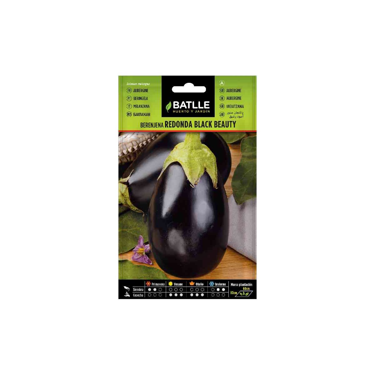 sembrar-semilla-berenjena-redonda-black-beauty-batlle-huerto