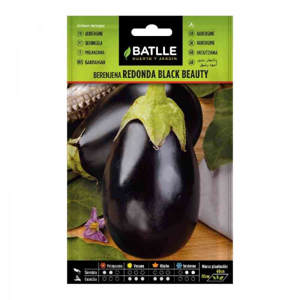 sembrar-semilla-berenjena-redonda-black-beauty-batlle-huerto