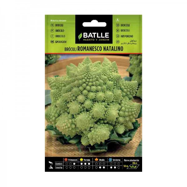semillas-broculi-brocoli-romanesco-natalino-batlle-siembra-huerto-maceta