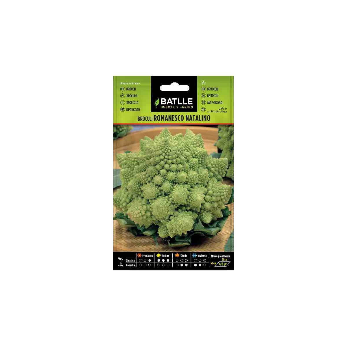 semillas-broculi-brocoli-romanesco-natalino-batlle-siembra-huerto-maceta