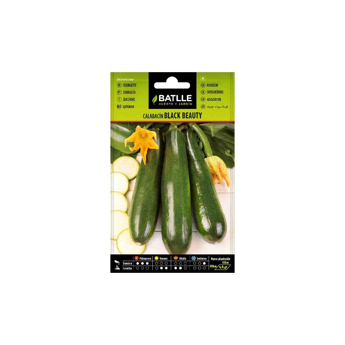 Plantar-calabacin-sembrar-huerto-black-beauty-batlle