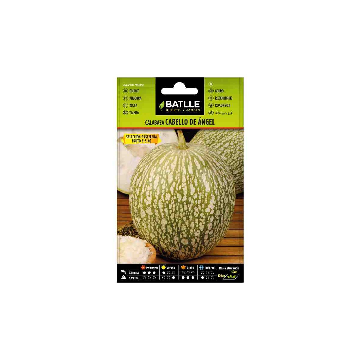 planta-calabaza-cabello-angel-pastelera-batlle-sembrar-huerto-siembra-huerta