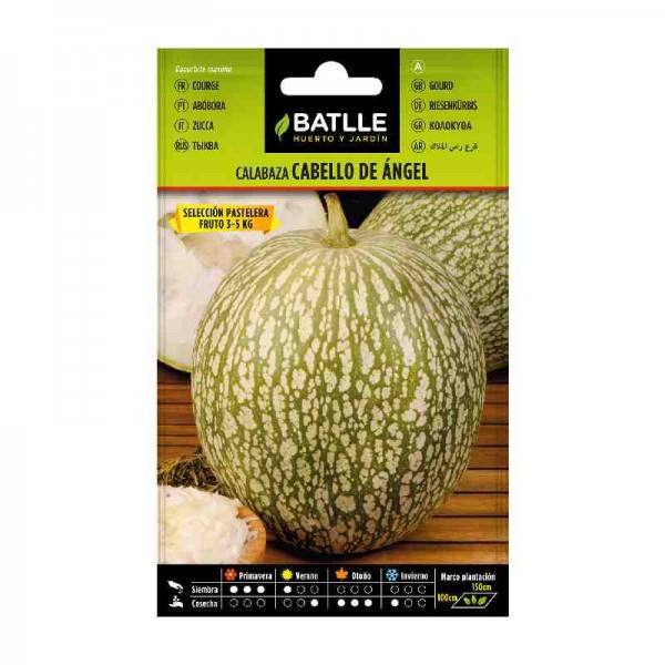 planta-calabaza-cabello-angel-pastelera-batlle-sembrar-huerto-siembra-huerta