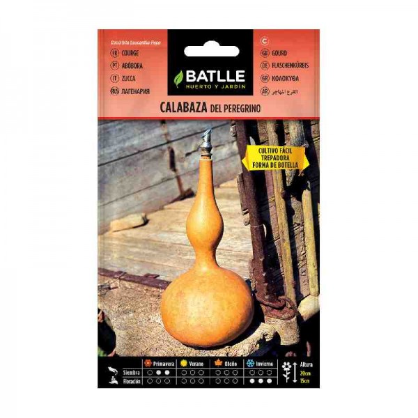 planta-calabaza--peregrino-trepadora-batlle-siembra-huerto-maceta-huerta
