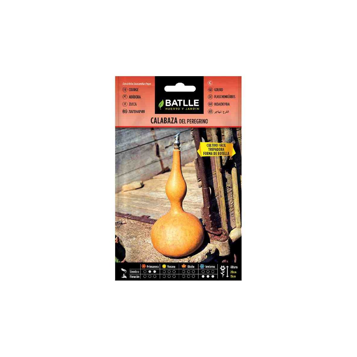 planta-calabaza--peregrino-trepadora-batlle-siembra-huerto-maceta-huerta