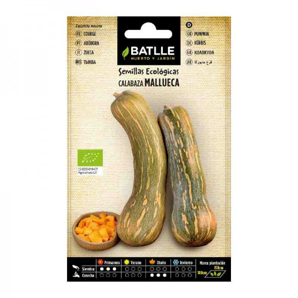 semilla-planta-calabaza-mallueca-batlle-huerto-maceta-huerta