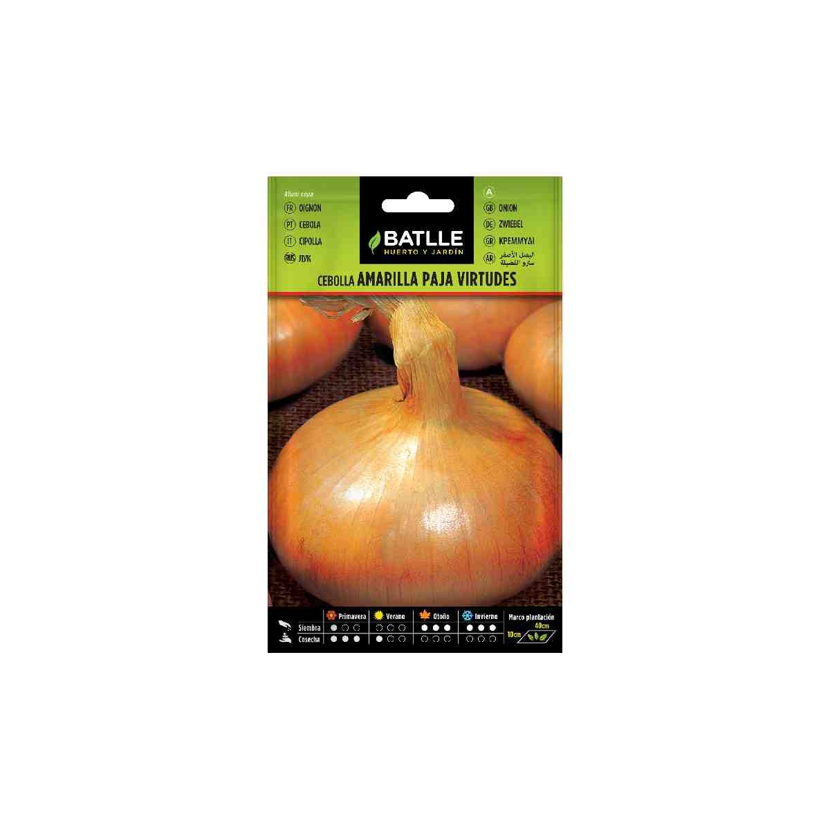 sembrar-cebolla-plantar-semilla-amarilla-paja-virtudes-batlle