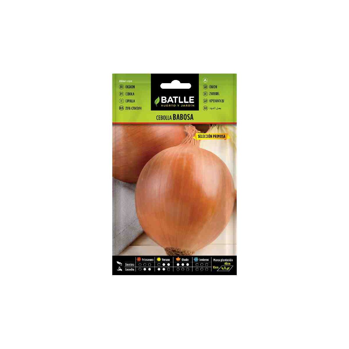 sembrar-plantar-cebolla-babosa-seleccion-primosa-batlle-huerto