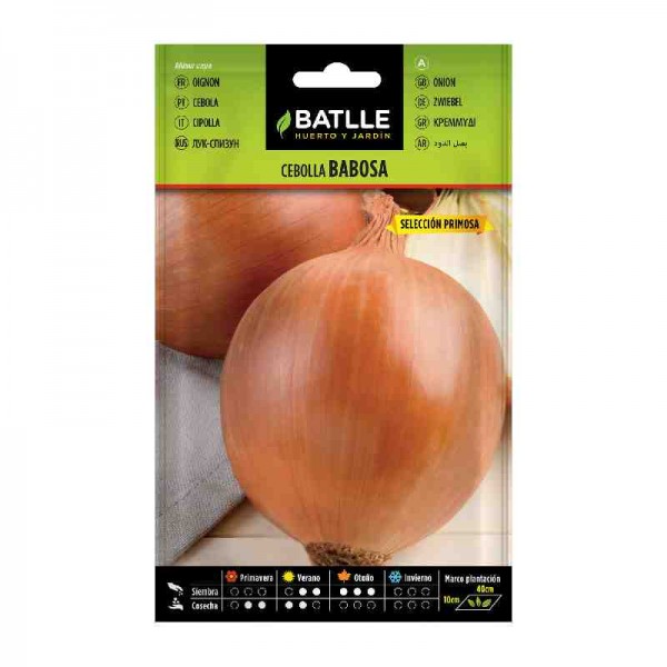 sembrar-plantar-cebolla-babosa-seleccion-primosa-batlle-huerto