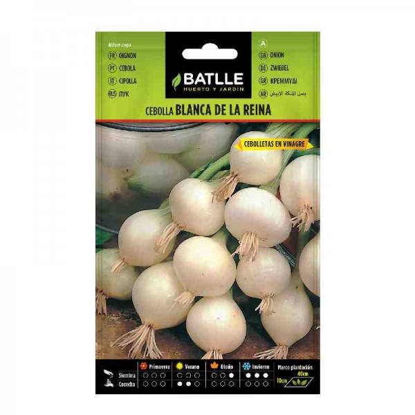 cebolla-blanca-reina-batlle