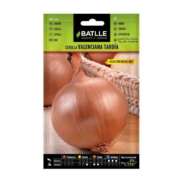 planta-semilla-cebolla-valenciana-tardia-batlle-huerto