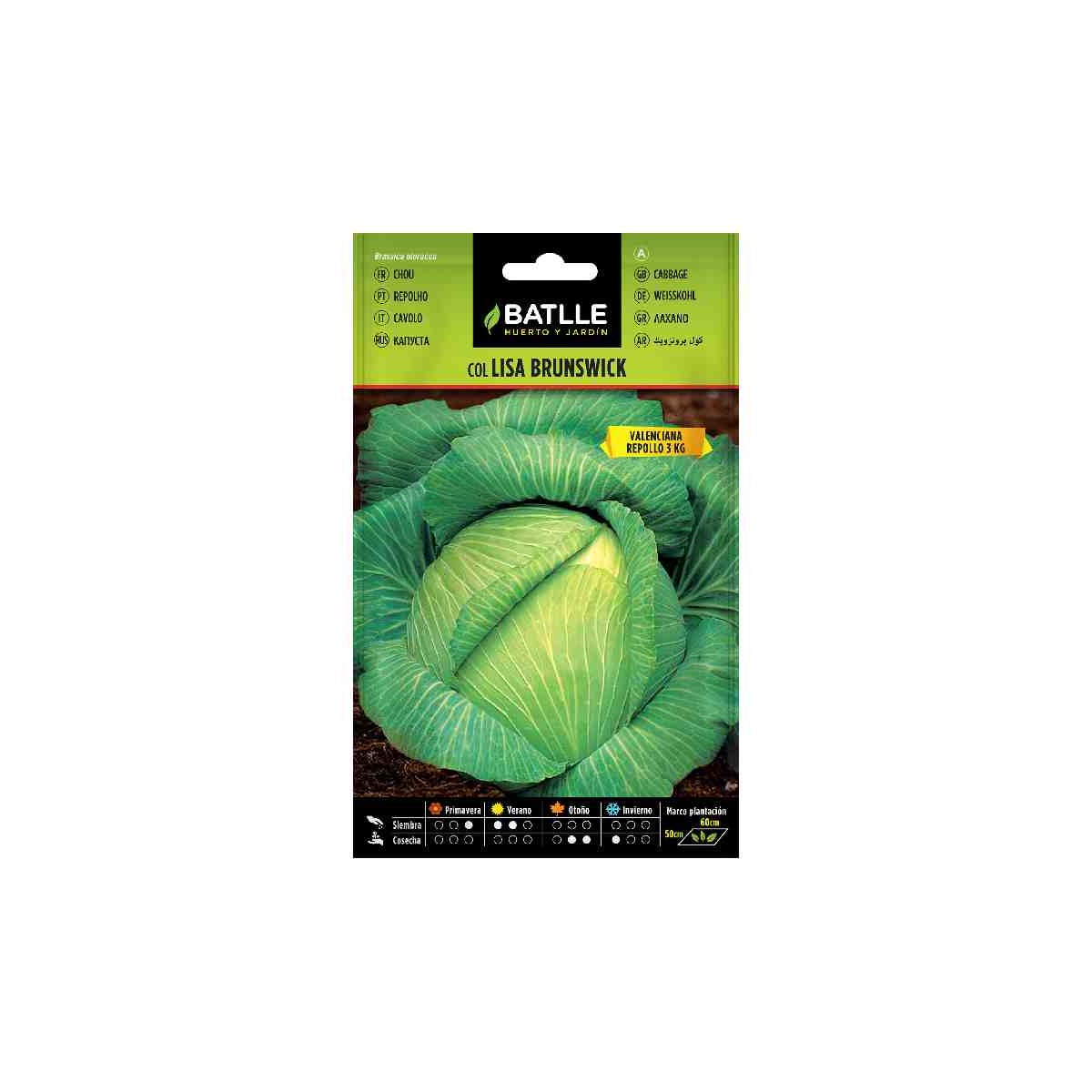 sembrar-col-lisa-brunswick-batlle-repollo-liso-huerto