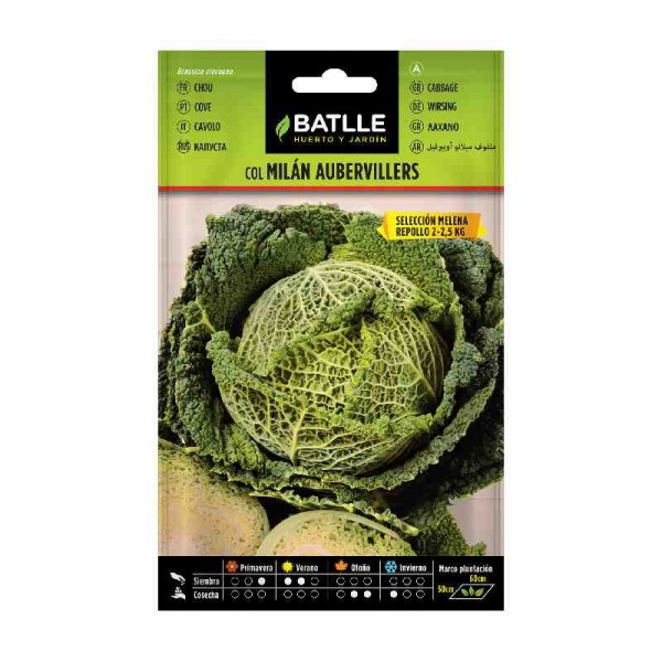 repollo rizado-col-de-milan-aubervillers-batlle-huerta