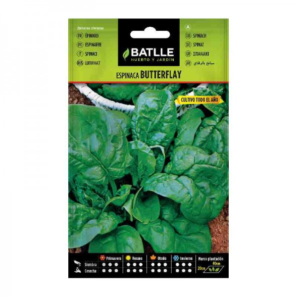 siembra-espinaca-butterflay-batlle-plantar-huerto