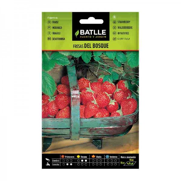 planta-semillas-fresas-batlle