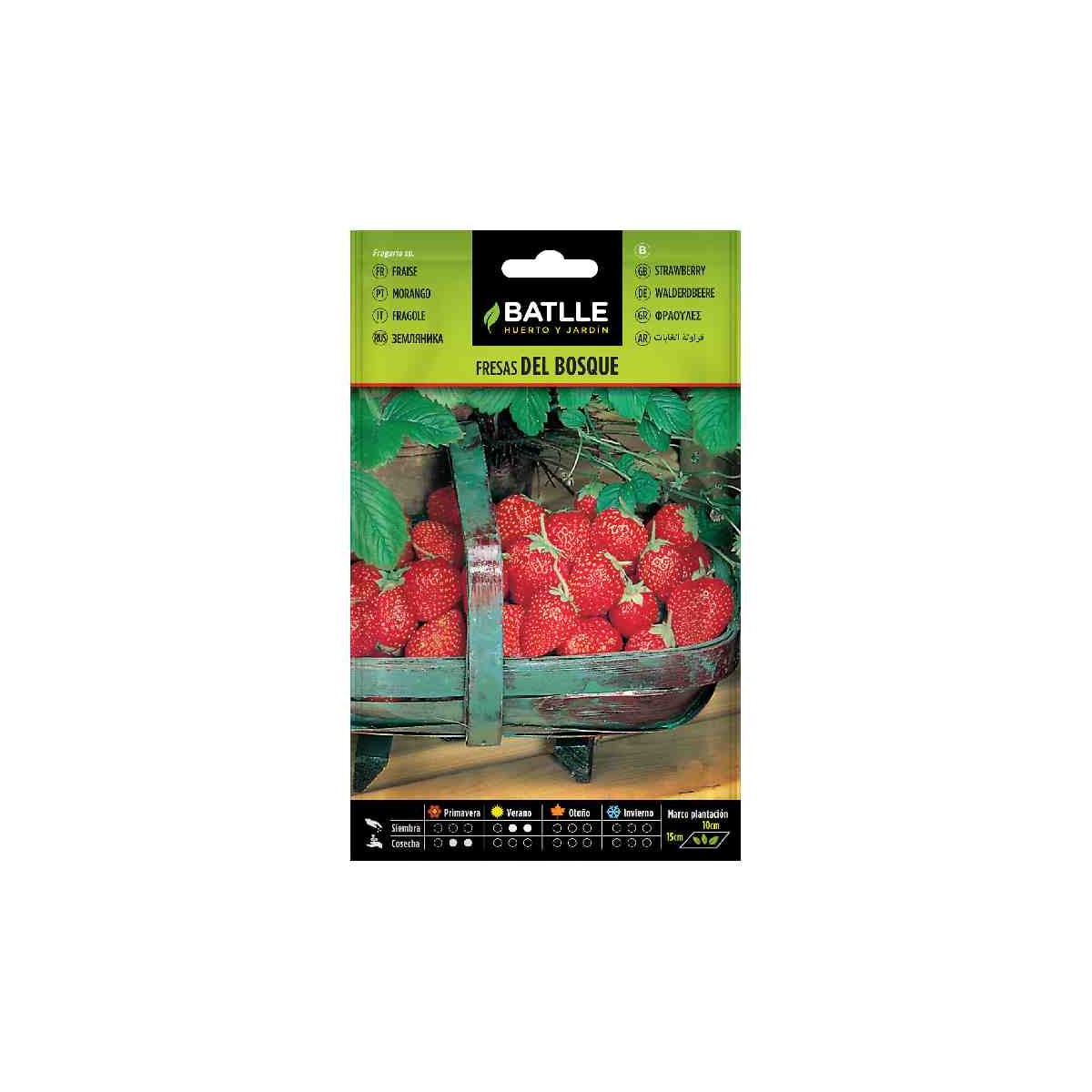 planta-semillas-fresas-batlle
