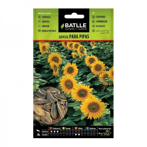 semilla-plantar-girasol-para-pipas-batlle