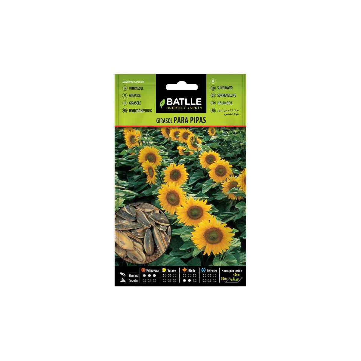 semilla-plantar-girasol-para-pipas-batlle