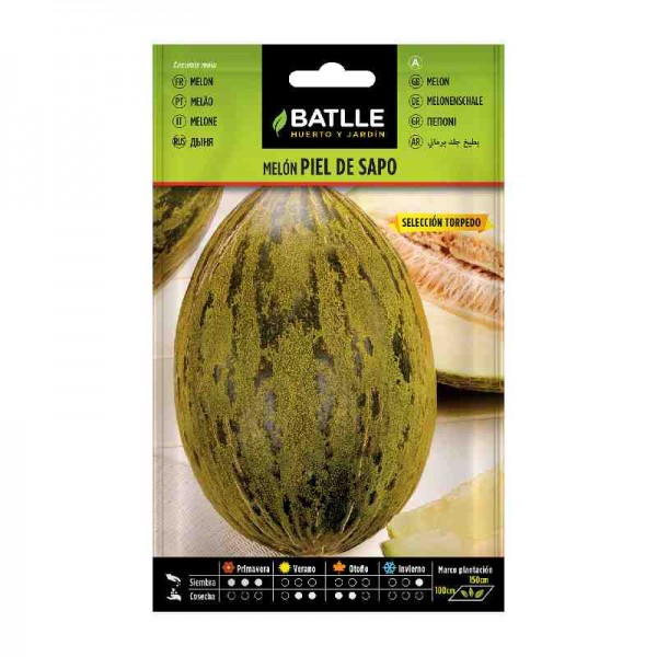 plantar-melon-piel-de-sapo-semilla-batlle