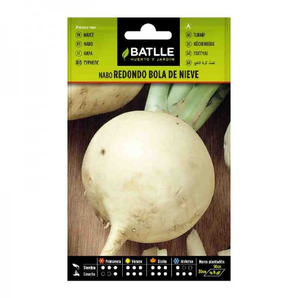 plantar-semilla-nabo-redondo-bola-de-nieve-batlle
