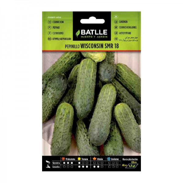 planta-pepinillo-wisconsin-smr-18-batlle-siembra-semilla-huerto