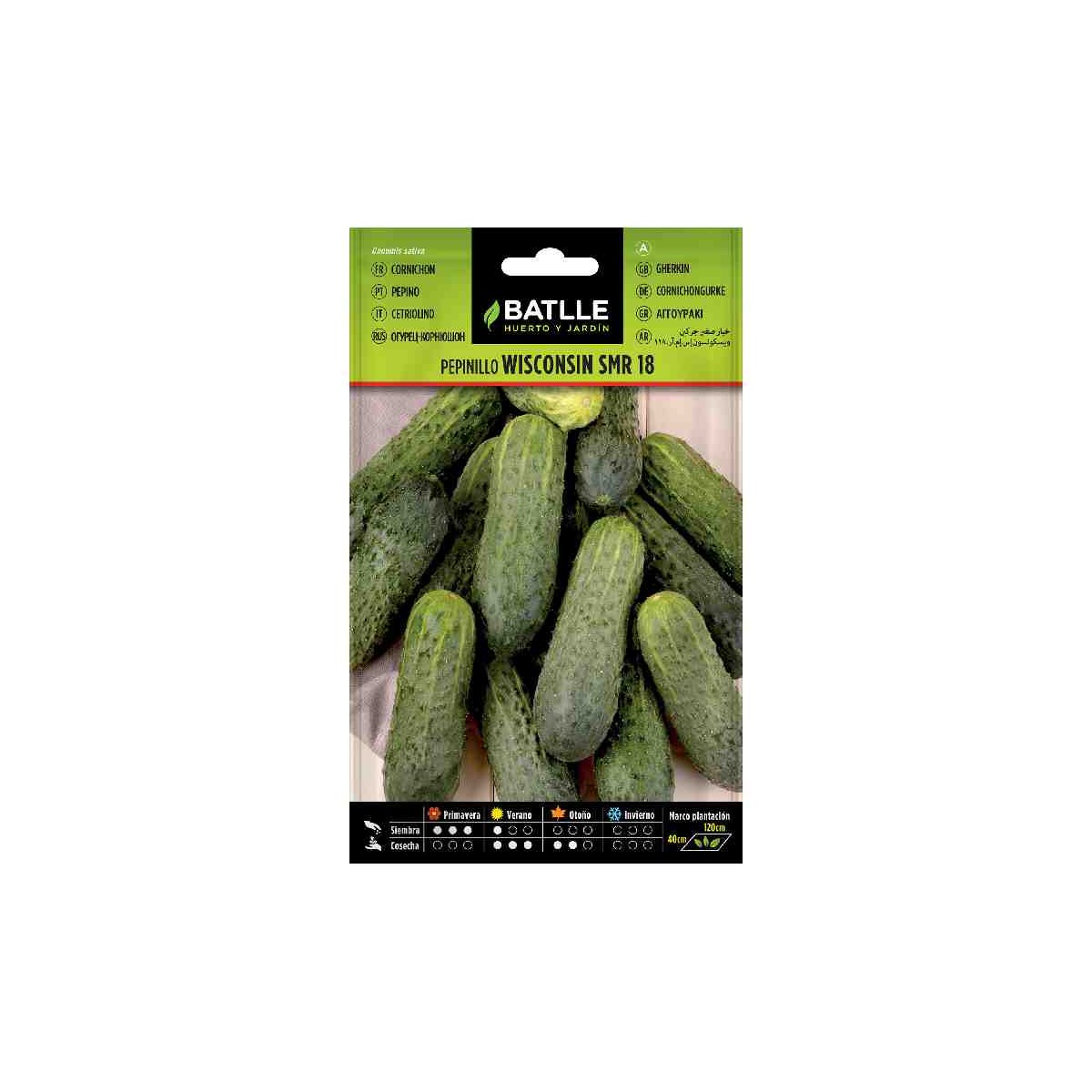 planta-pepinillo-wisconsin-smr-18-batlle-siembra-semilla-huerto