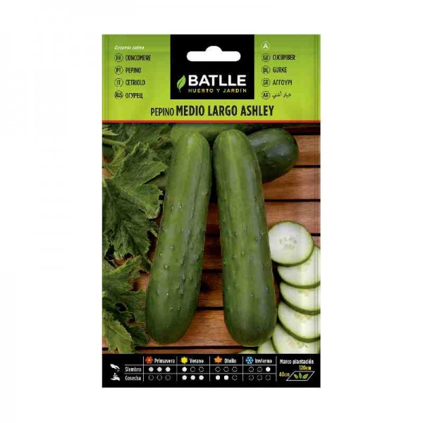 plantar-pepino-medio-largo-ashley-batlle-siembra-semilla-huerto