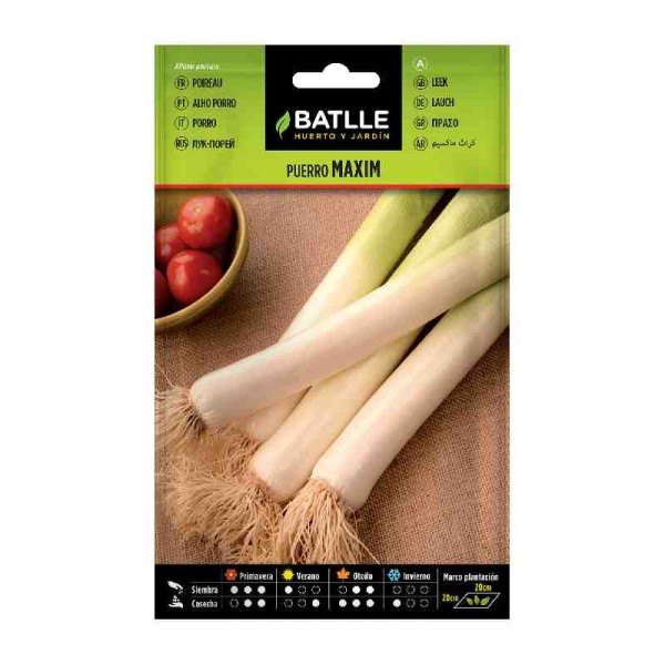 plantar-puerro-maxim-batlle-huerto