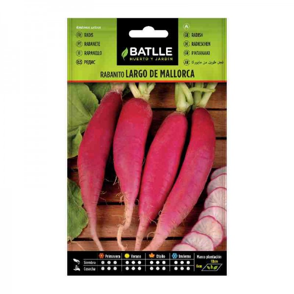 rabanito-largo-mallorca-batlle-huerto