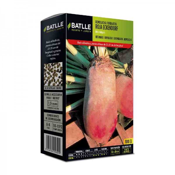 plantar-semilla-remolacha-roja-eckendorf-batlle
