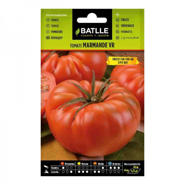 semilla-tomate-marmande-raf-batlle