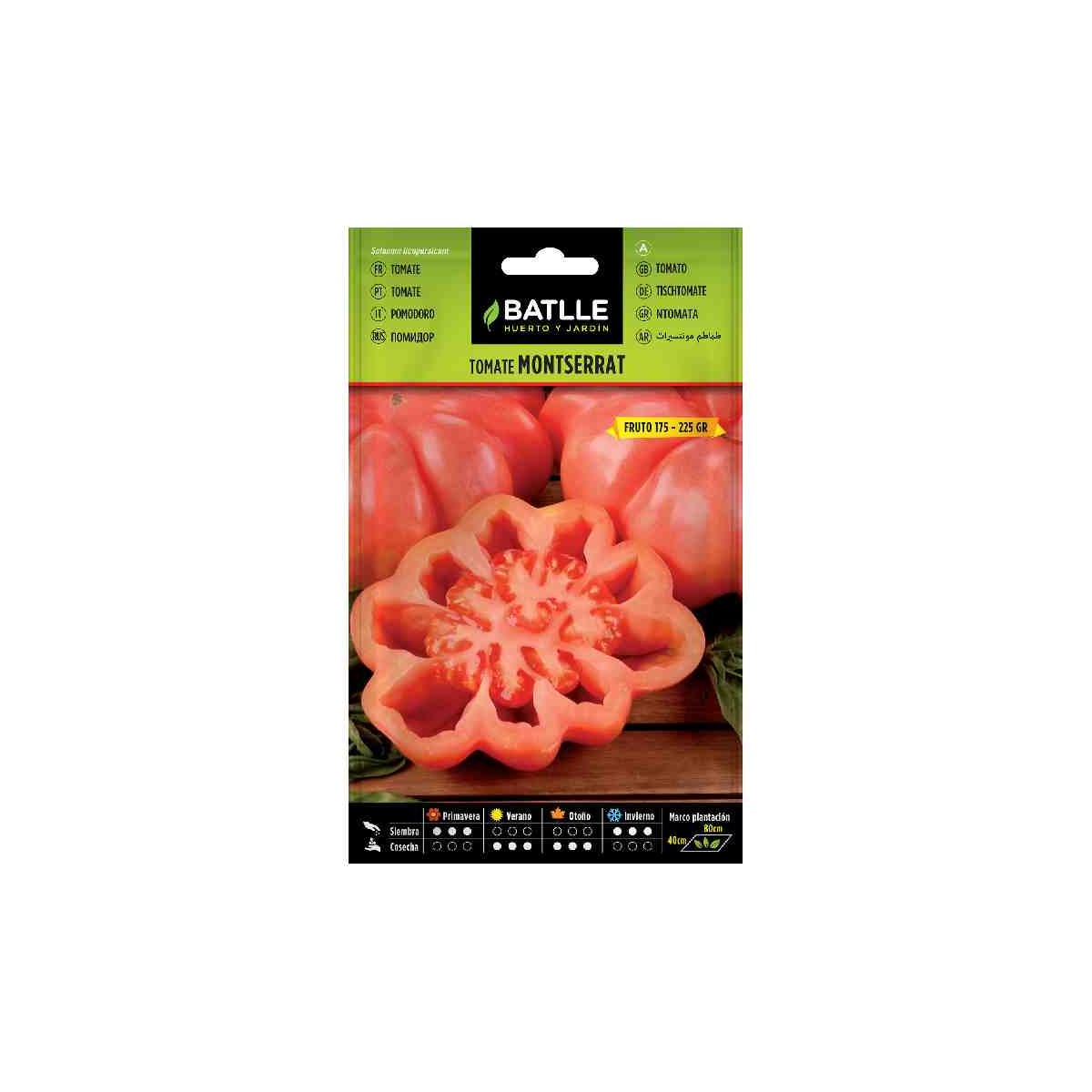 semilla-tomate-motserrat-batlle-huerto