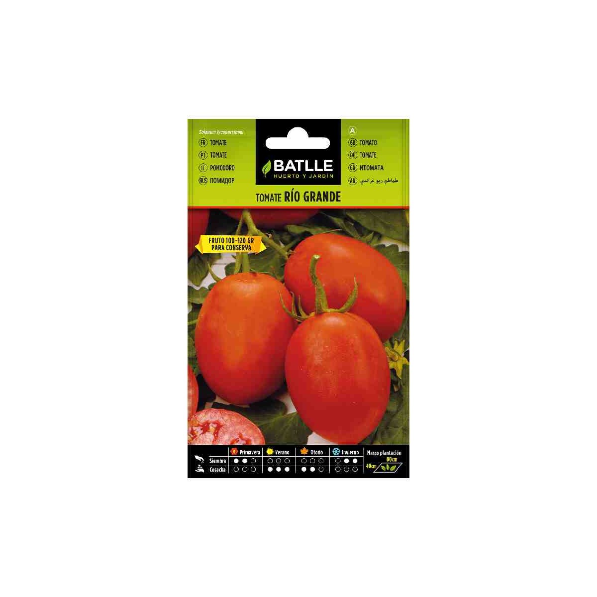 sembrar-plantar-tomate-pera-rio-grande-batlle