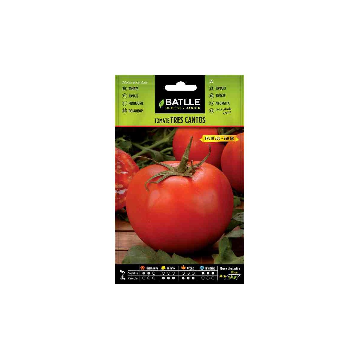 sembrar-planta-tomate-tres-cantos-batlle-huerto