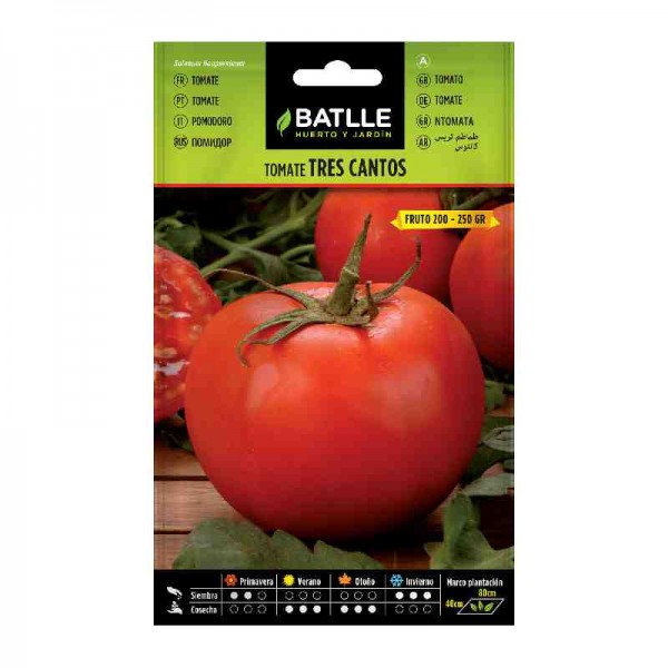 sembrar-planta-tomate-tres-cantos-batlle-huerto