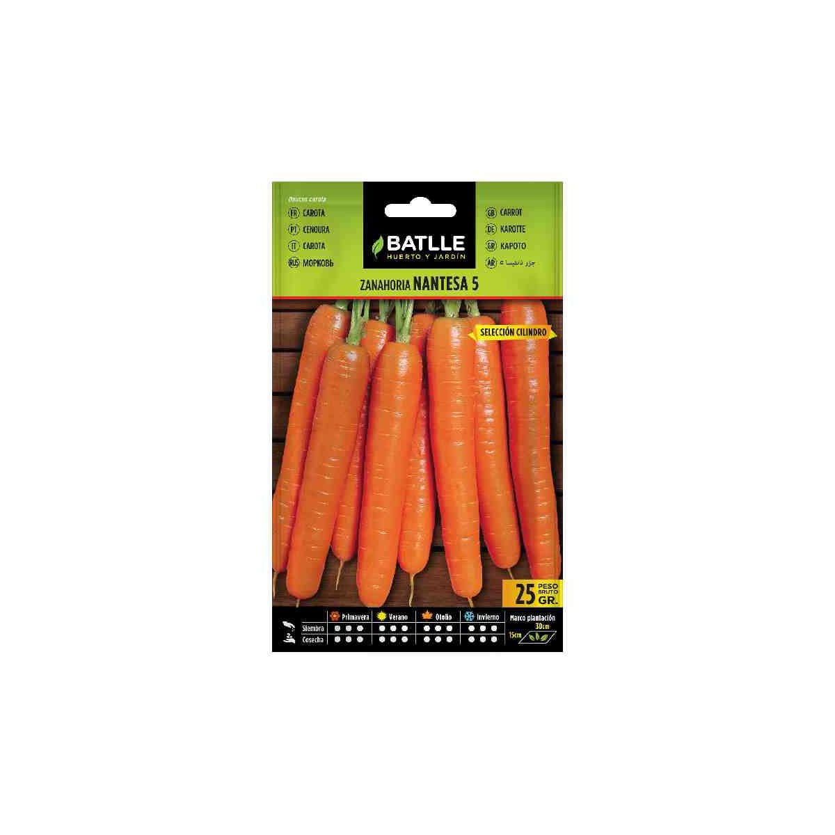 plantar-semilla-zanahoria-nantesa-5-cilindro-batlle-huerto