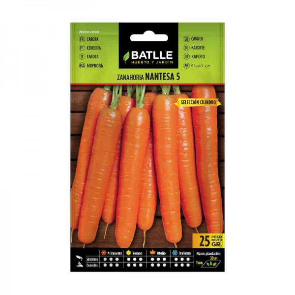 plantar-semilla-zanahoria-nantesa-5-cilindro-batlle-huerto