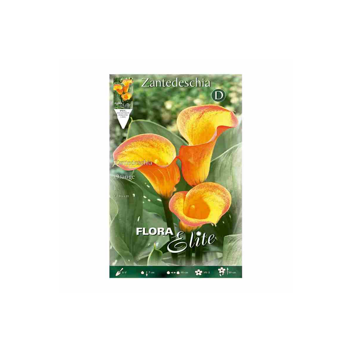 bulbo-de-cala-zantedeschia-mezcla-amarillo-naranja