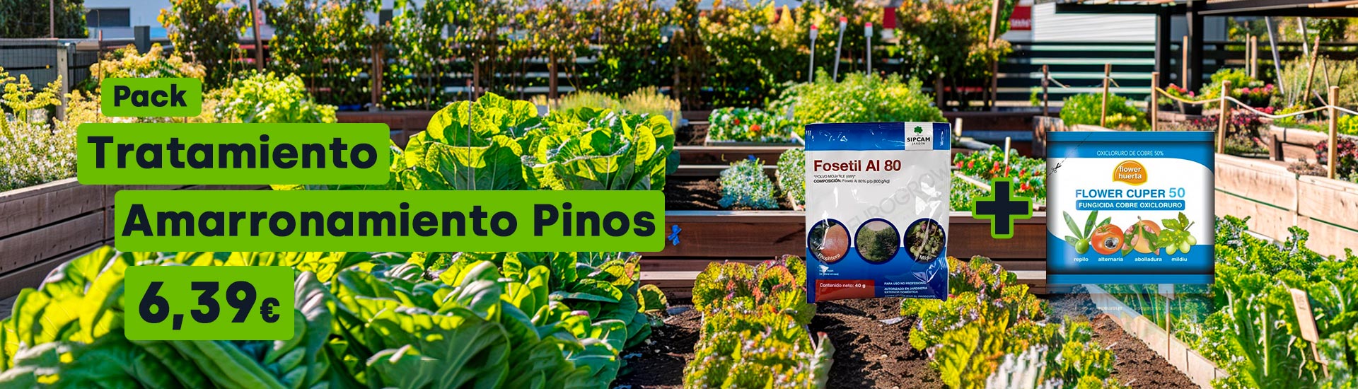 Pack Tratamiento Amarronamiento Pinos