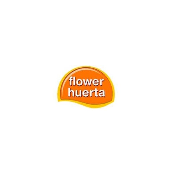 Flower Huerta