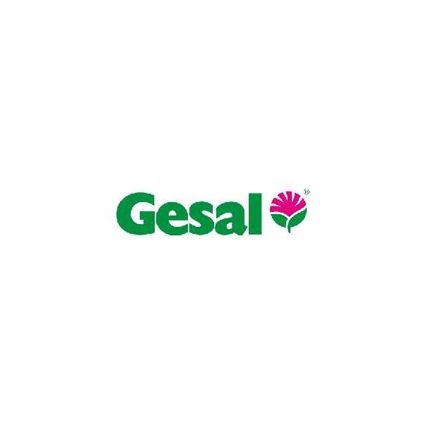 Gesal