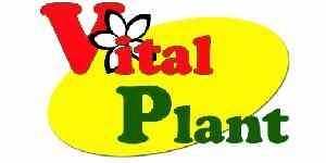 Vital Plant